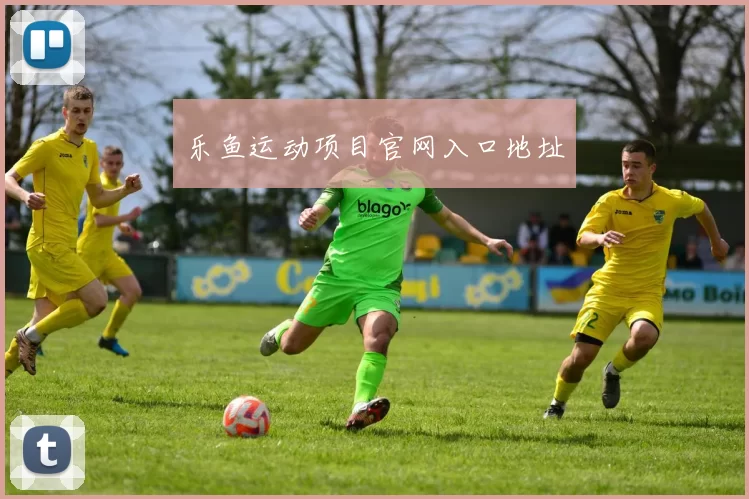 乐鱼运动项目官网入口地址