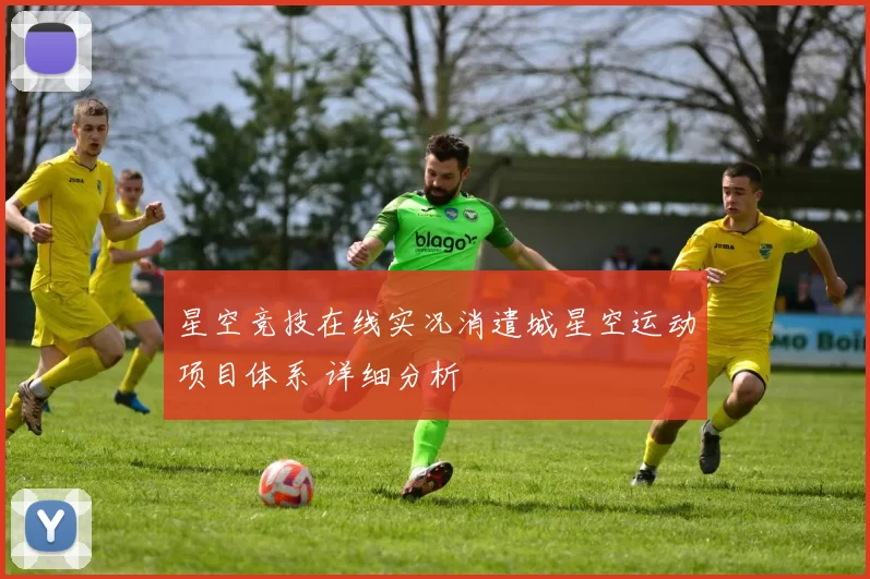 星空竞技在线实况消遣城星空运动项目体系 详细分析