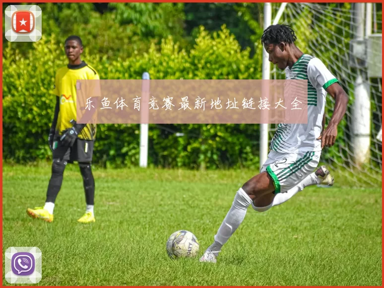 乐鱼体育竞赛最新地址链接大全