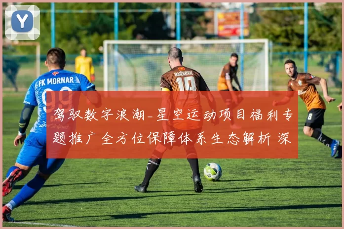 驾驭数字浪潮_星空运动项目福利专题推广全方位保障体系生态解析 深度解析