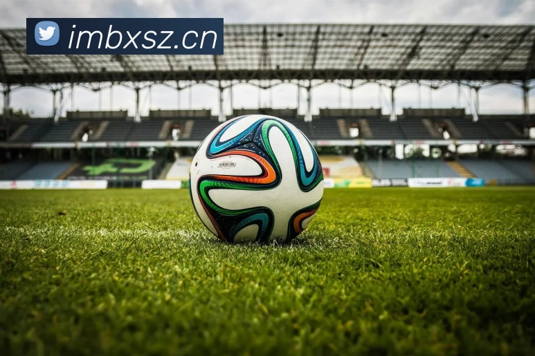 乐鱼官网APP 高清赛事图